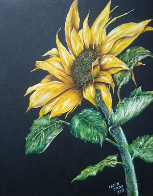 Caryn Dixon